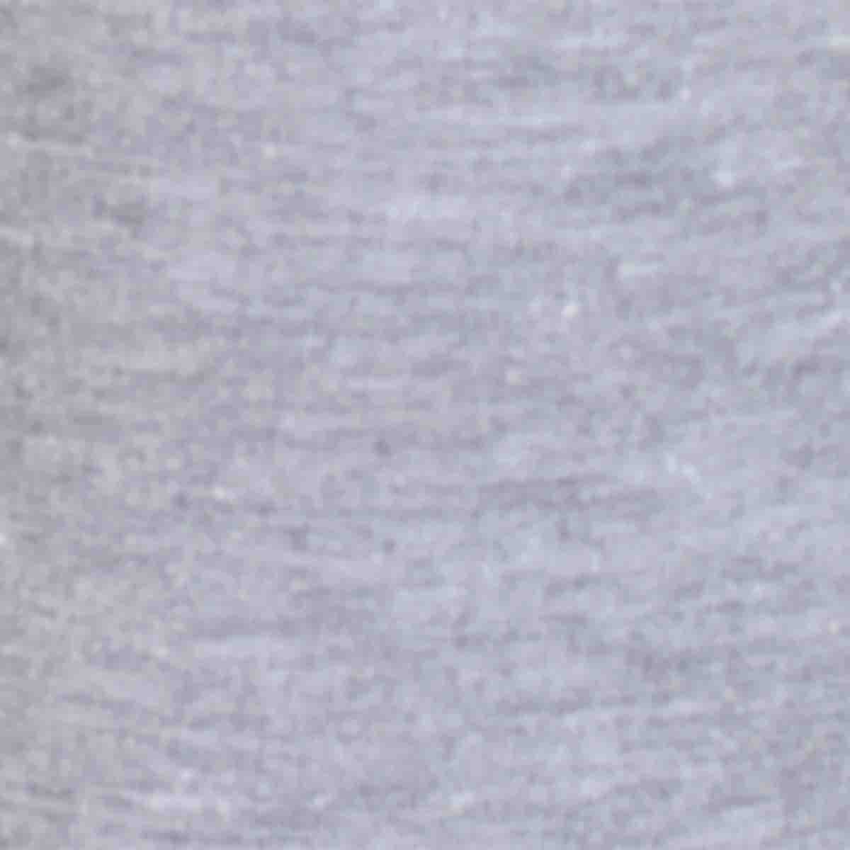 Jogger Gris Claro Hang Ten