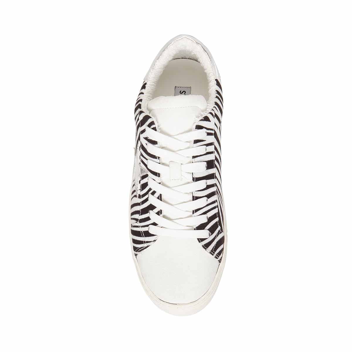 Tenis Animal Print Steve Madden