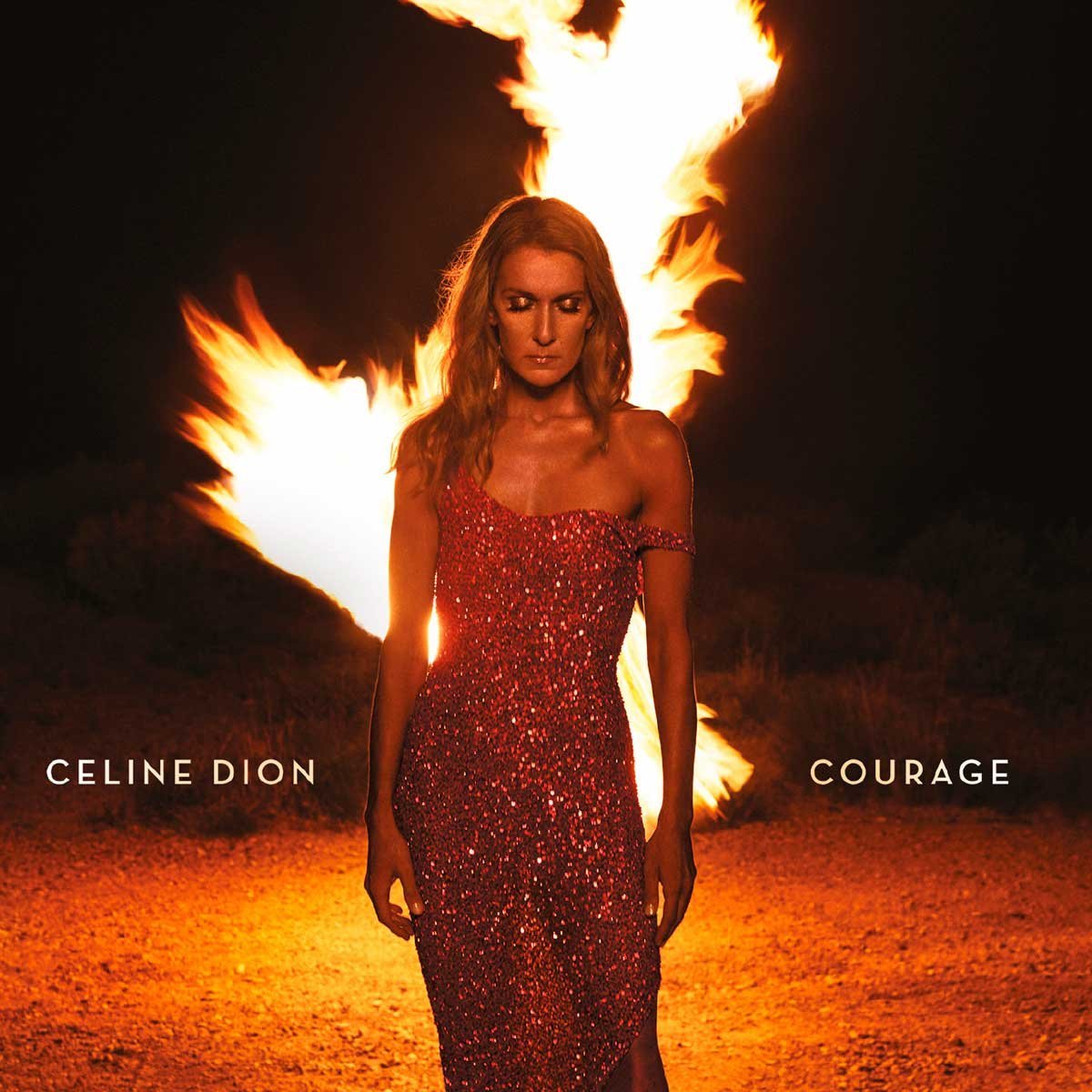 Cd Celine Dion Courage
