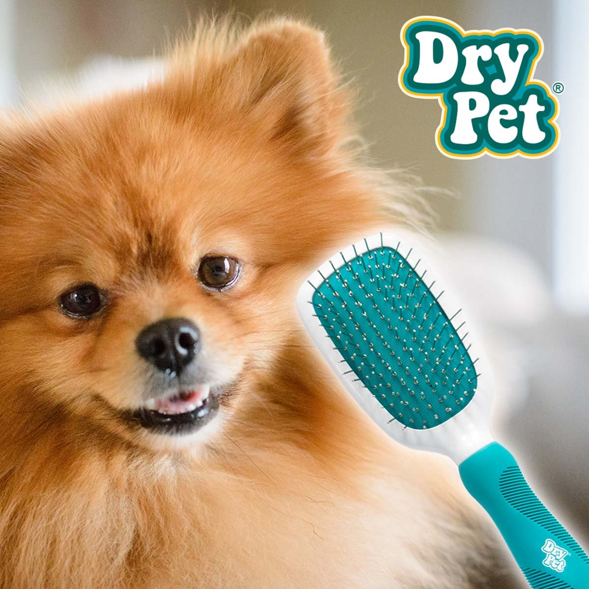 Cepillo Combinado Gde Dry Pet Mod. Fl8343 para Perro