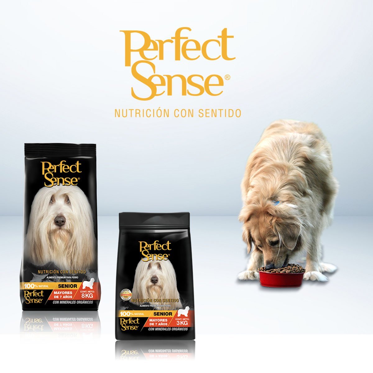 Alimento Senior para Perro Adulto Bulto de 3Kg Perfect Sense