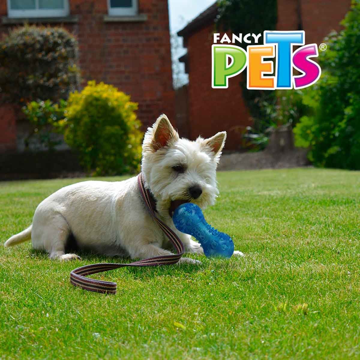 Juguete Pesa Flexible C/sonido Ch Fancy Pets Mod. Fl8753