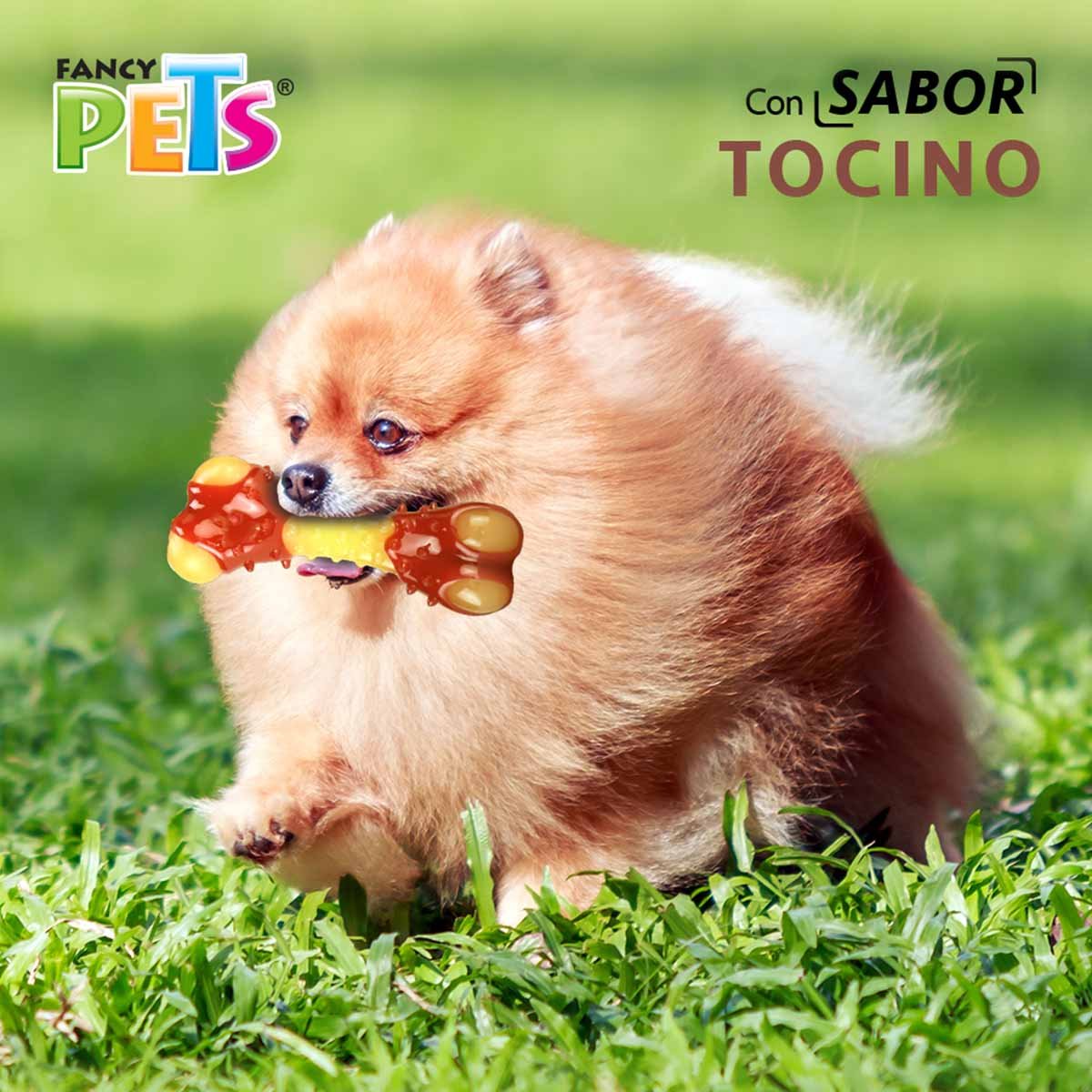 Juguete Dental Hueso Sabor Tocino Ch Fancy Pets Mod. Fl8761