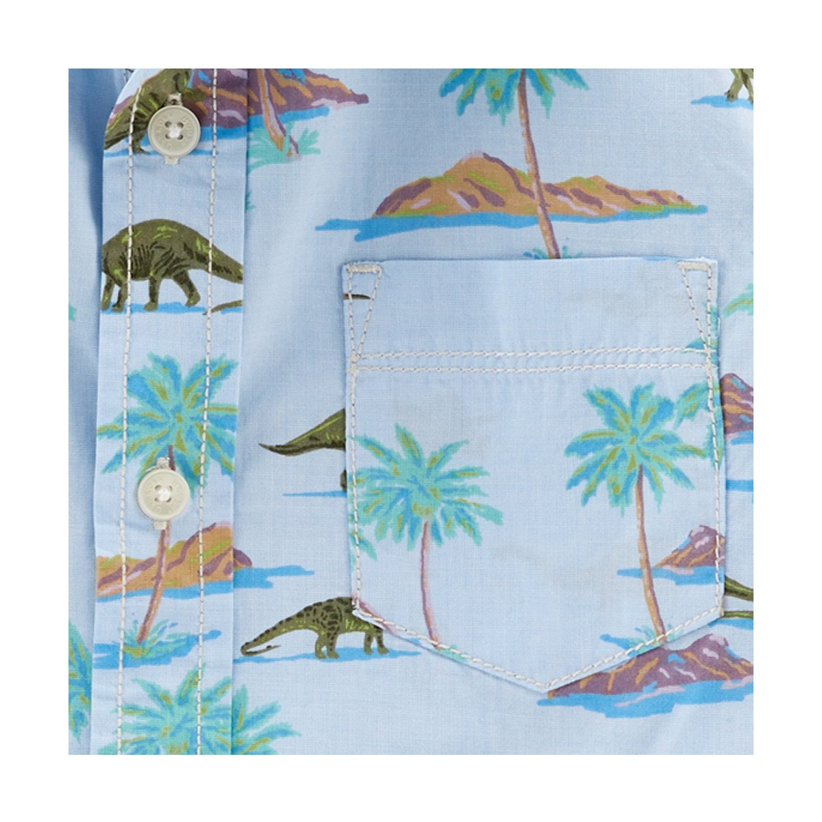 Camisa Estampado de Dinosaurio para Niño Osh Kosh