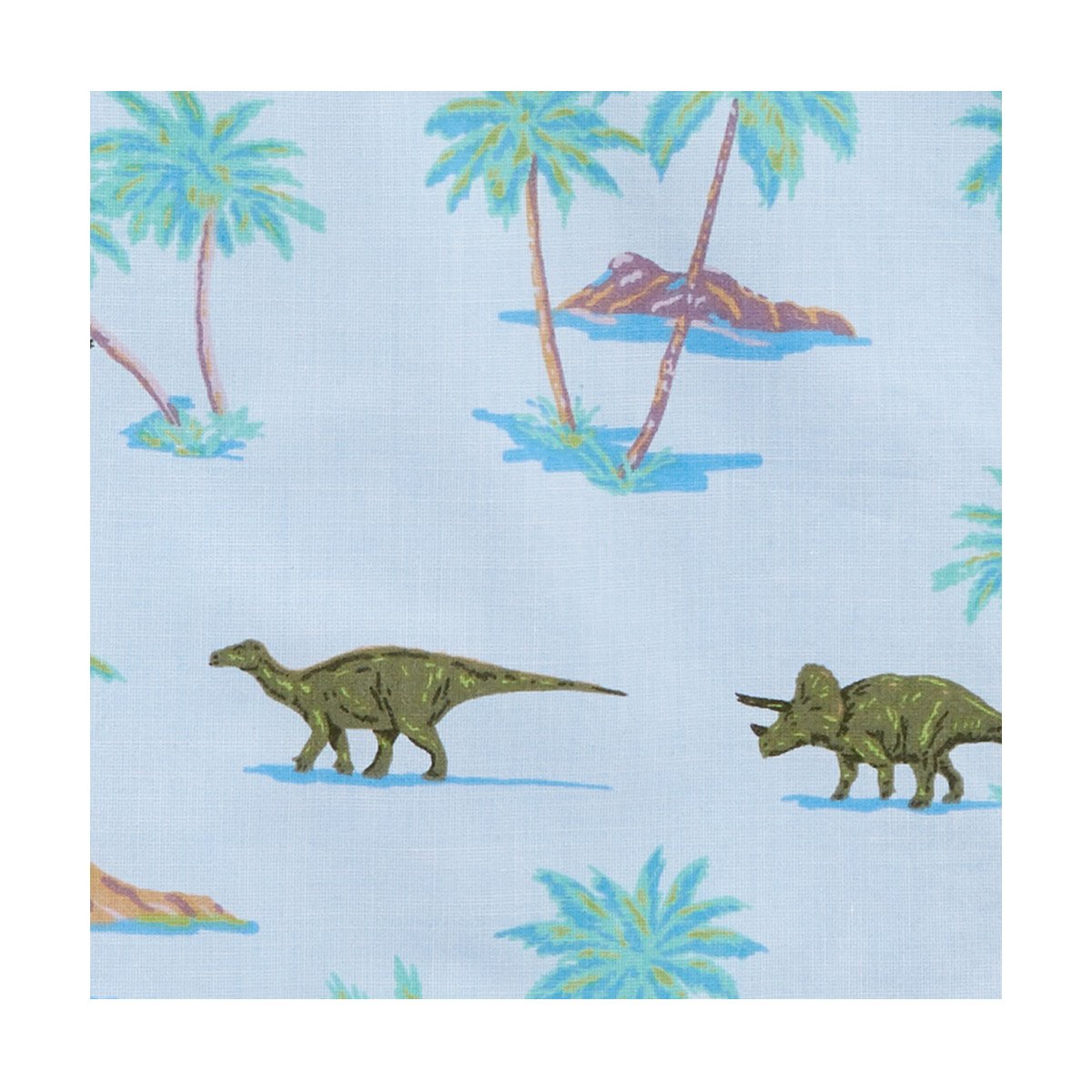 Camisa Estampado de Dinosaurio para Niño Osh Kosh