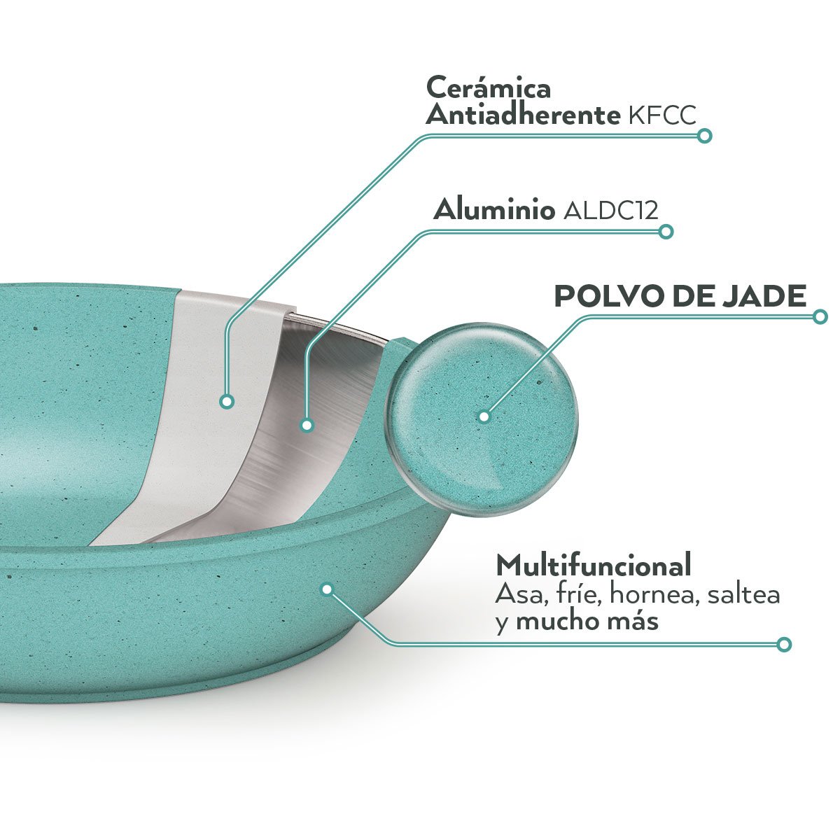 Jade Cook Cv Directo