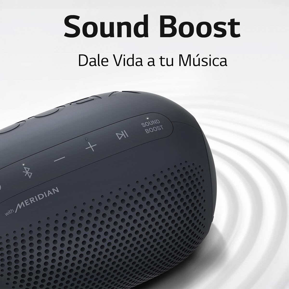 Bocina Bluetooth Inalámbrica LG Xboom Go Pl2 con Meridian