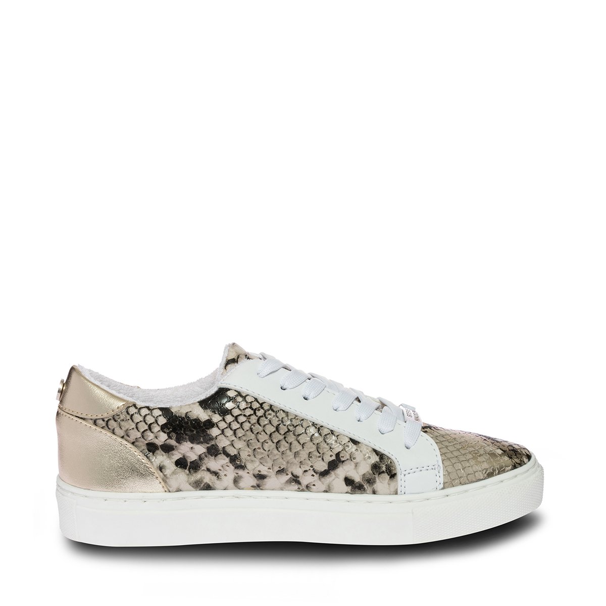 Tenis Casual Víbora Steve Madden