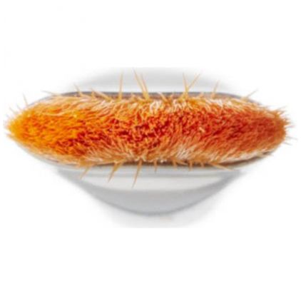 Pestañas MAC 195 Concealer Brush