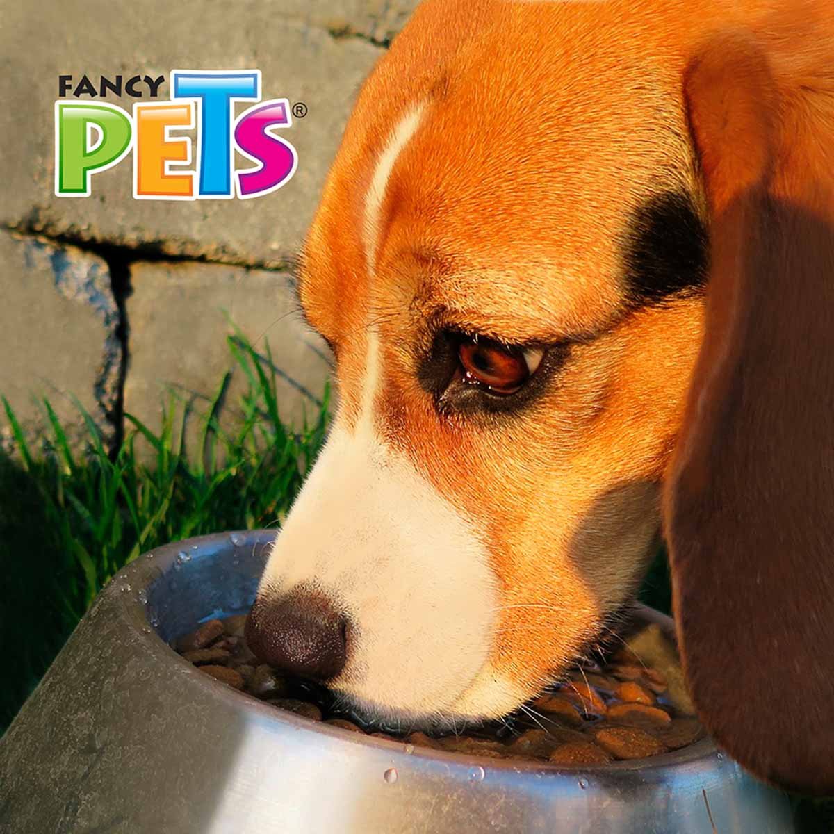 Plato de Acero 8 Oz para Perro