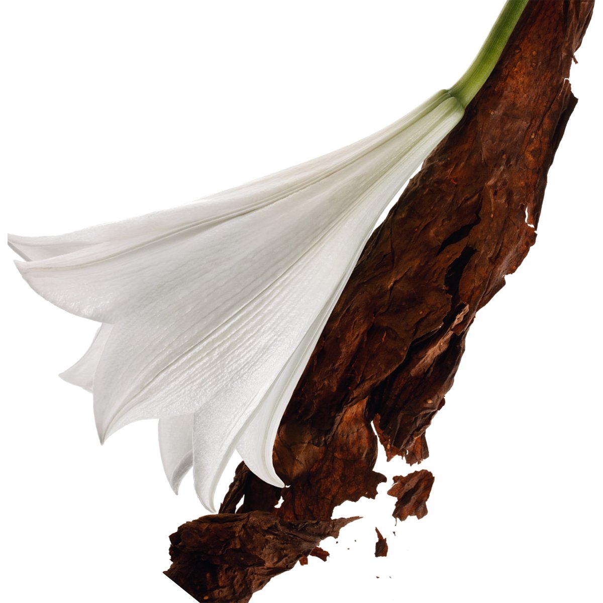 Estuche para Dama Yves Saint Laurent, Mon Paris Edp 90 Ml