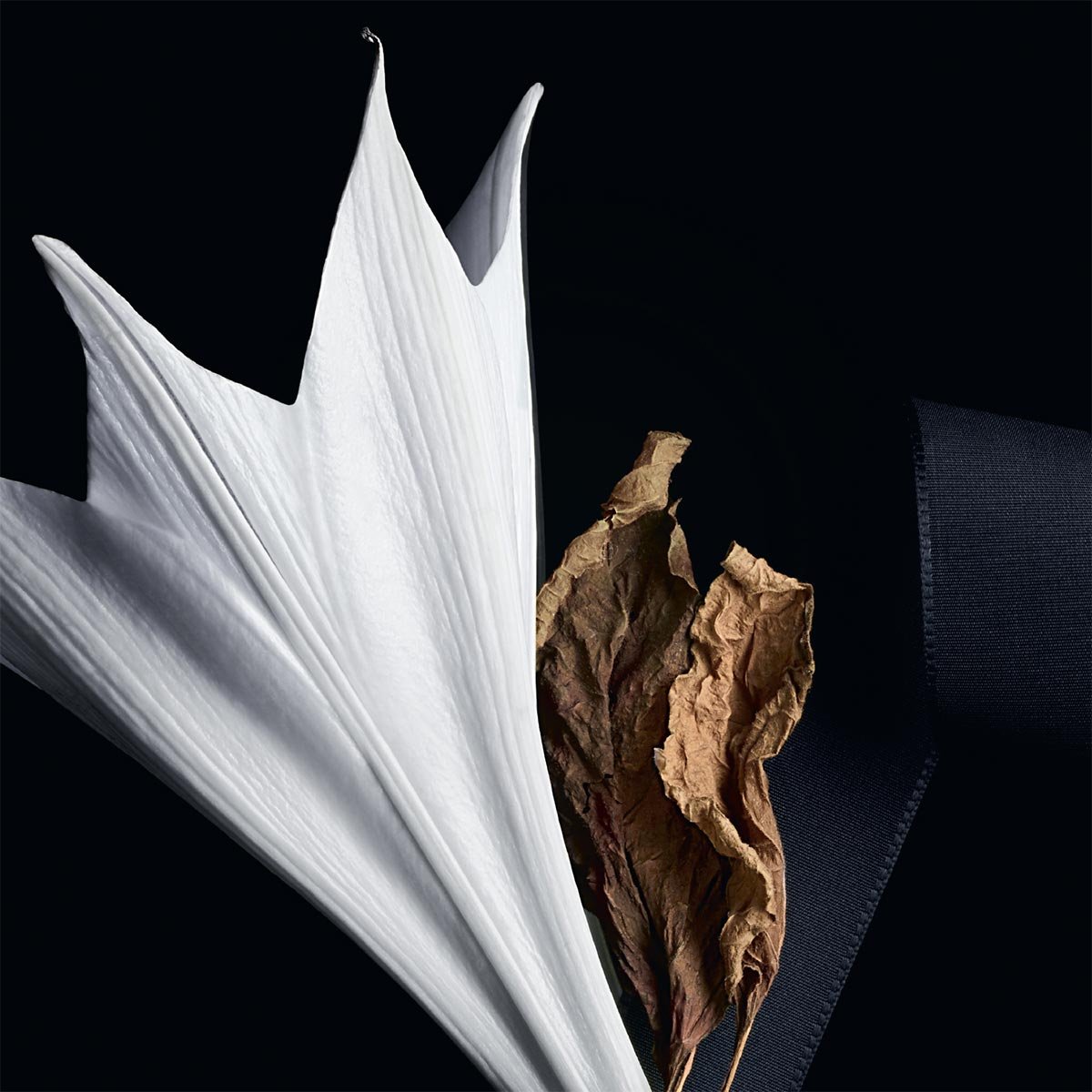 Estuche para Dama Yves Saint Laurent, Mon Paris Edp 90 Ml