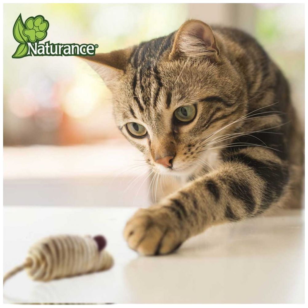 Juguete Eco para Gato Ratones Acuario Lomas