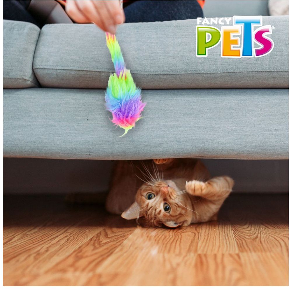 Juguete Ratón Arcoiris Catch Acuario Lomas