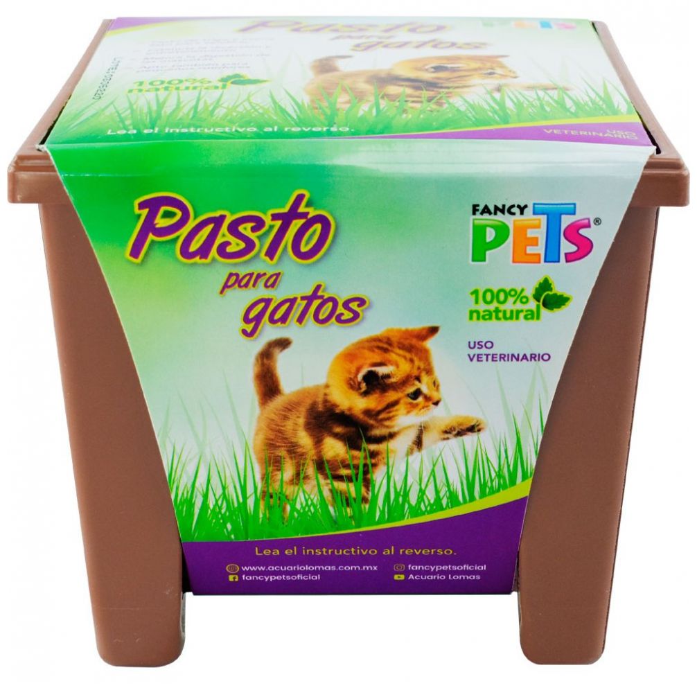 Pasto P/ Gatos Acuario Lomas