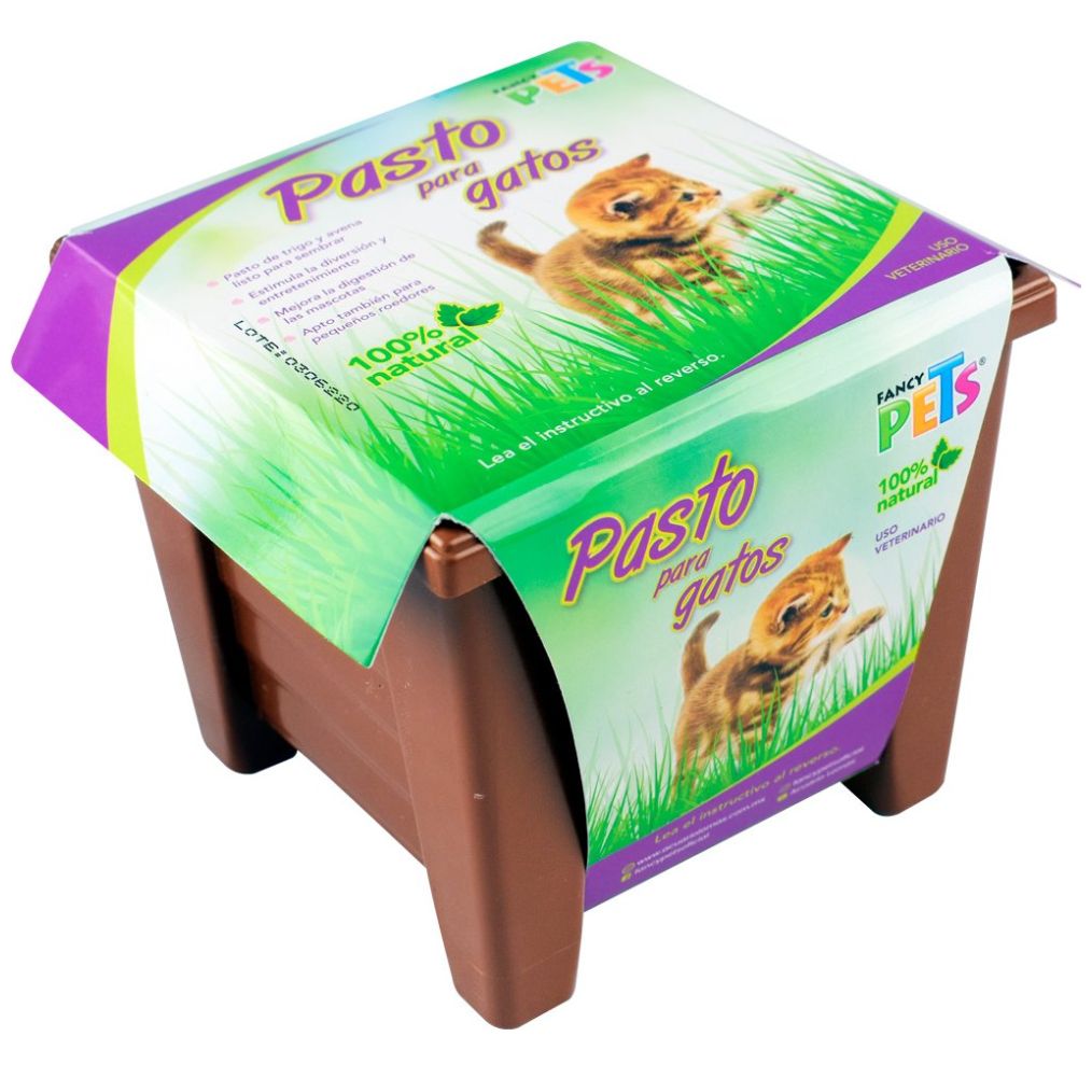 Pasto P/ Gatos Acuario Lomas