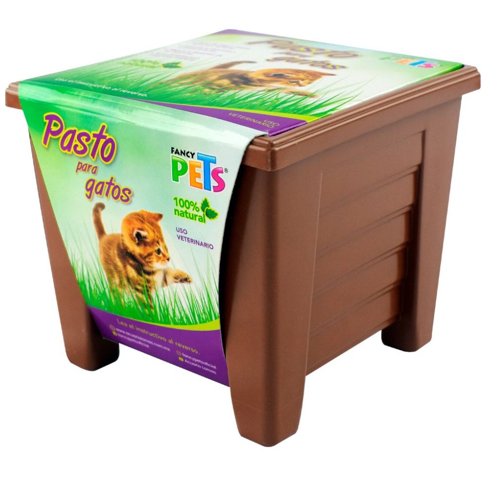 Pasto P/ Gatos Acuario Lomas