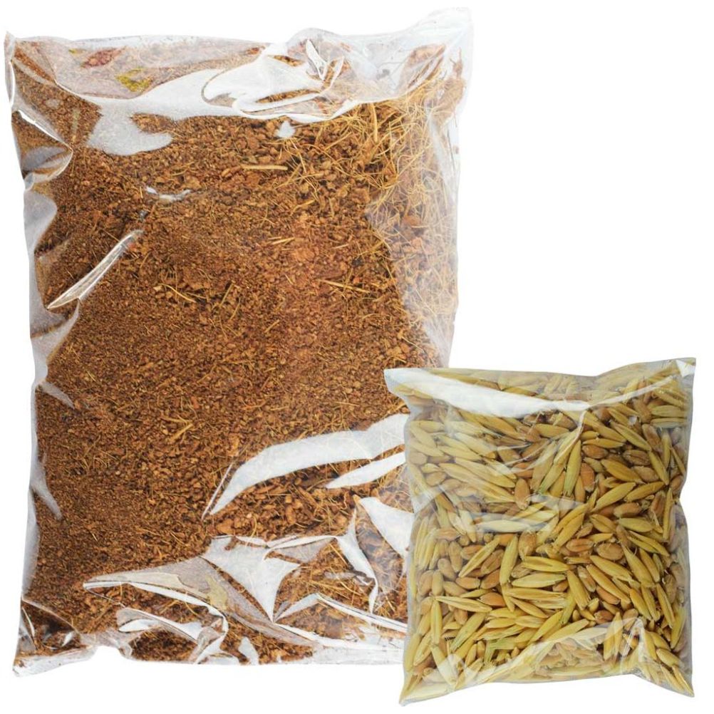 Pasto P/ Gatos Acuario Lomas