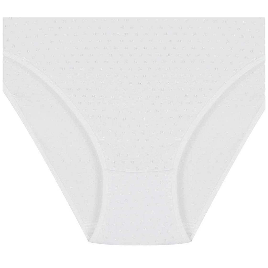 Bikini Corte Frances Berlei 560