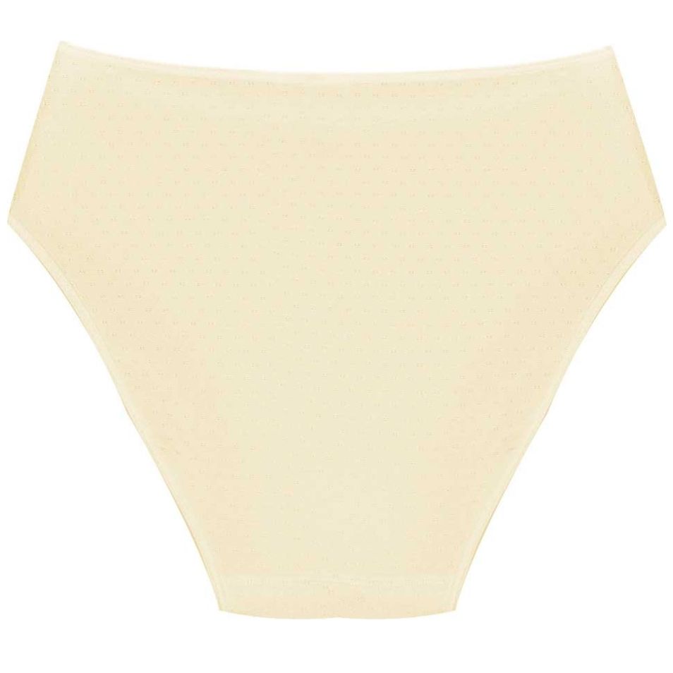 Bikini Corte Frances Berlei 560