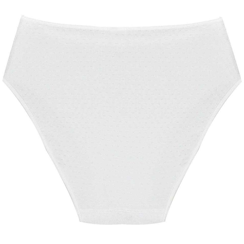 Bikini Corte Frances Berlei 560