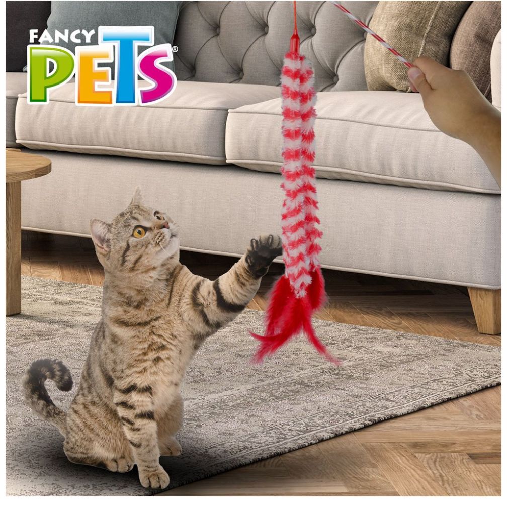 Juguete Oruga Catch Acuario Lomas