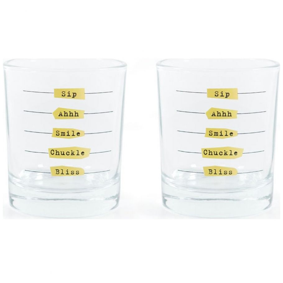 Vasos 5 Etapas de la Felicidad Kikkerland