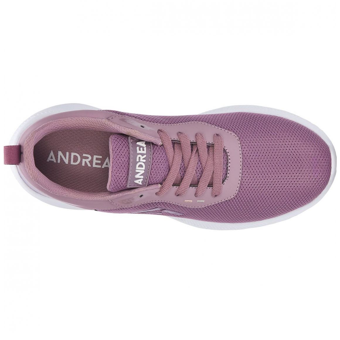 Tenis Deportivo Morado Andrea