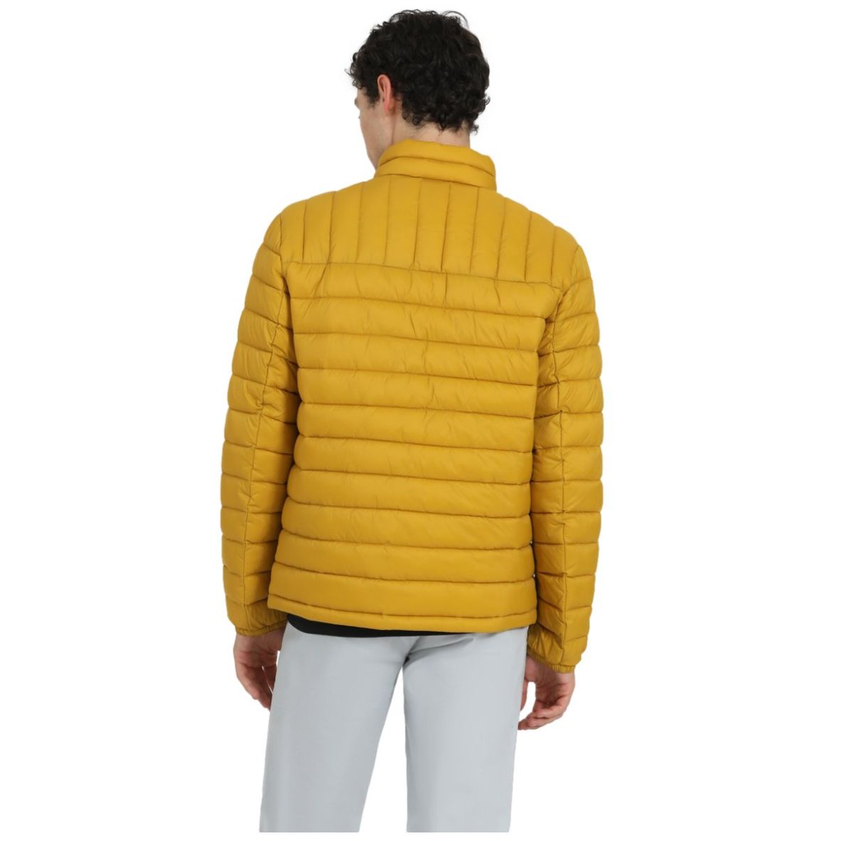 Chamarra Estilo Jacket Dockers para Hombre