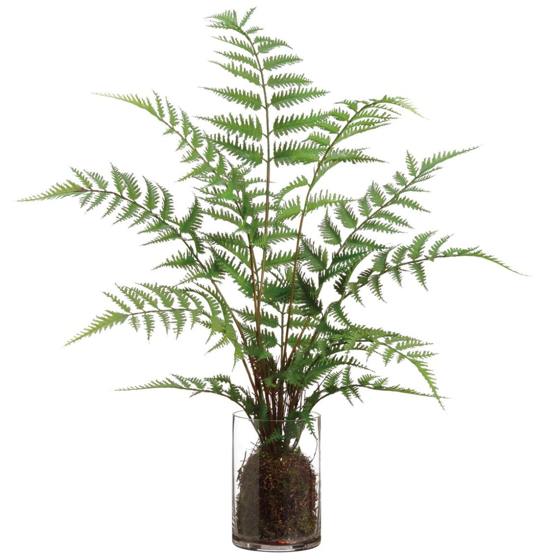 Home Nature Decorativo de Hojas de Helecho