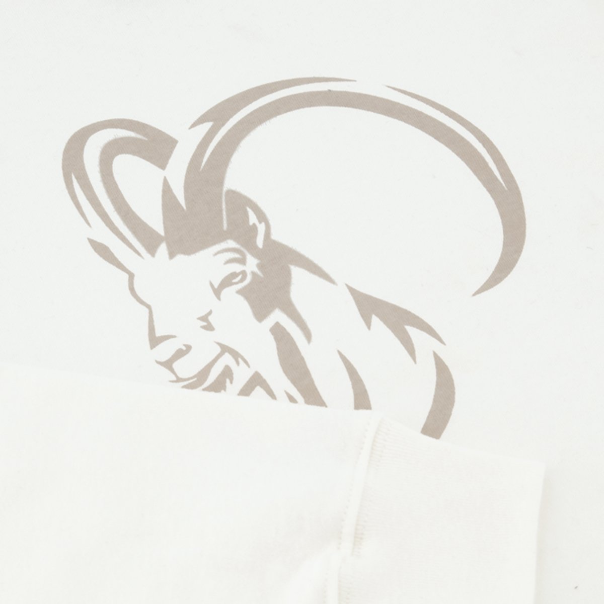 Playera para Niño Manga Larga Estampada Jeanious