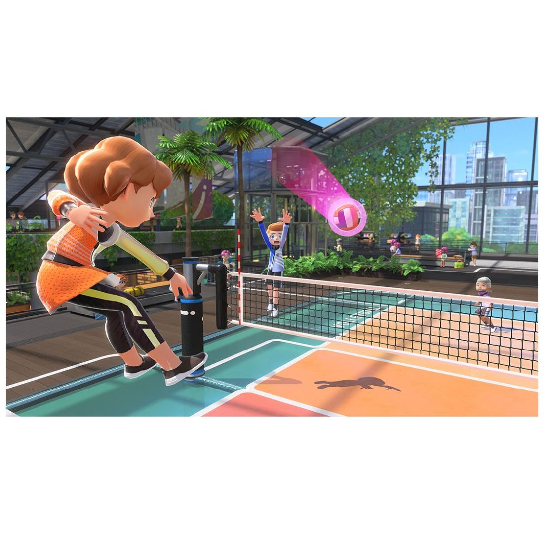 Nintendo Switch Sports