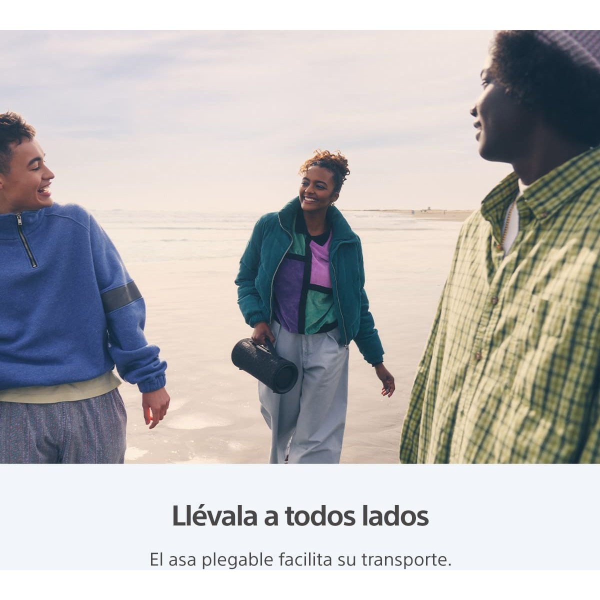 Bocina Sony Portatil Xg 300 Negra