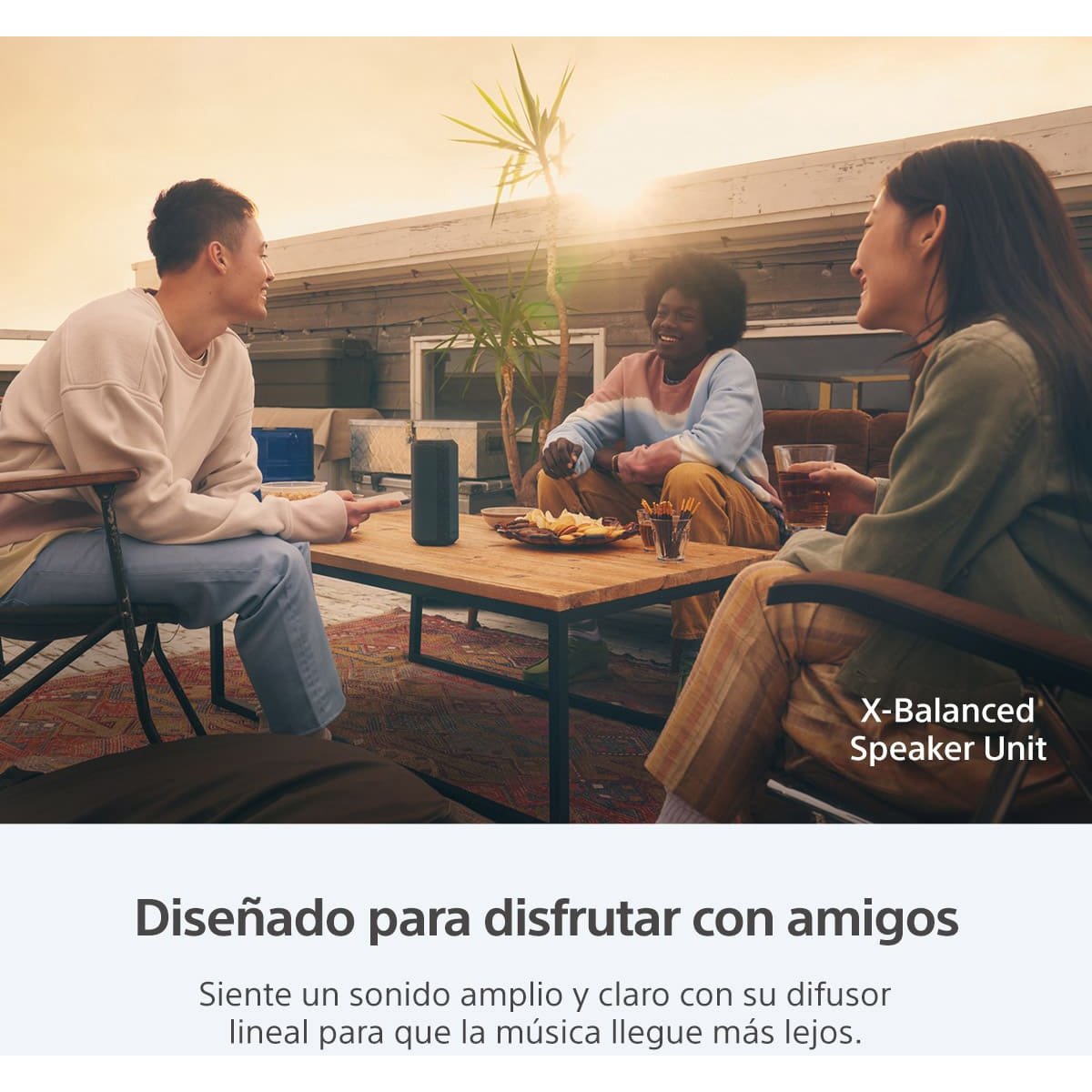 Bocina Sony Portátil Xe 300 Negra