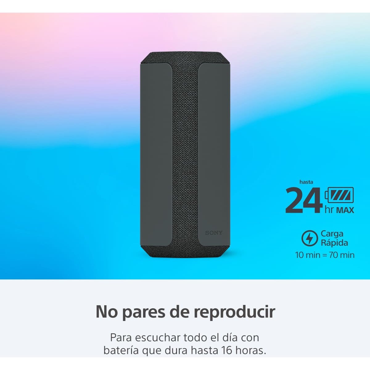 Bocina Sony Portátil Xe 300 Negra