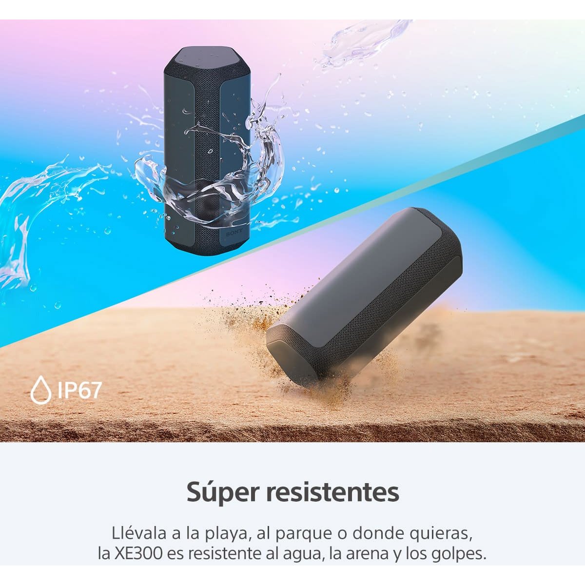 Bocina Sony Portátil Xe 300 Negra