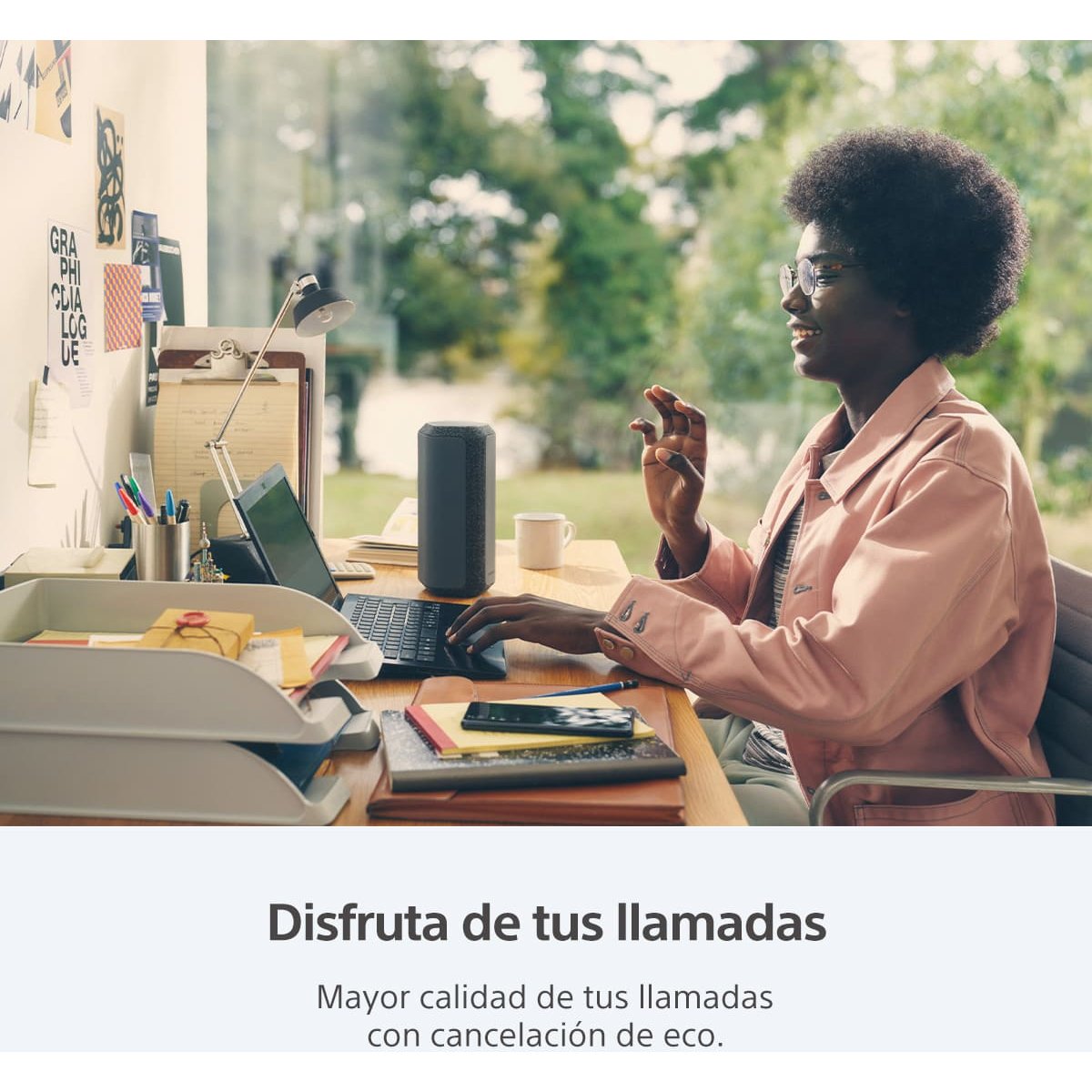 Bocina Sony Portátil Xe 300 Negra