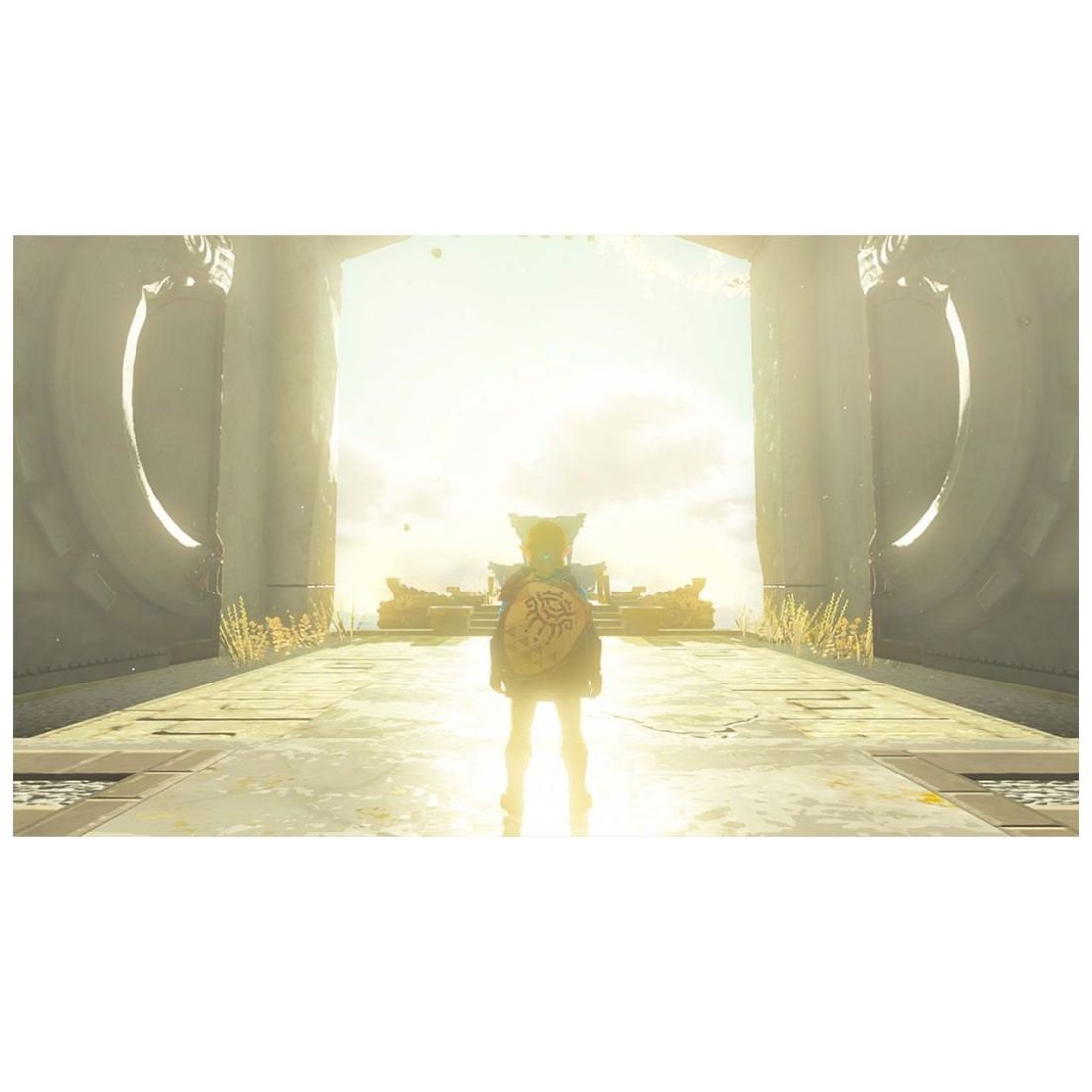 Nintendo Switch The Legend Of Zelda Tears Of The Kingdom