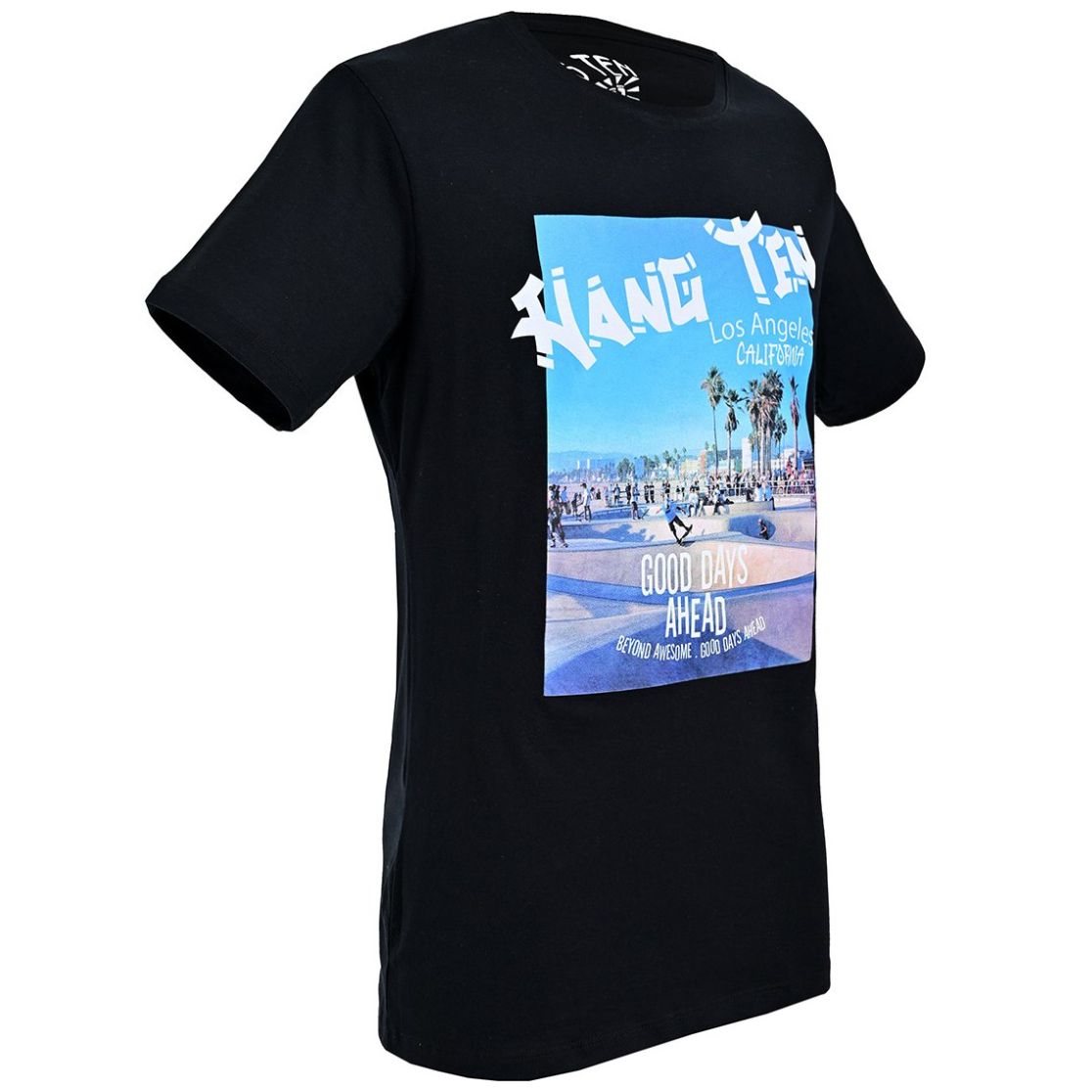 Playera para Hombre Manga Corta Juvenil Hang Ten