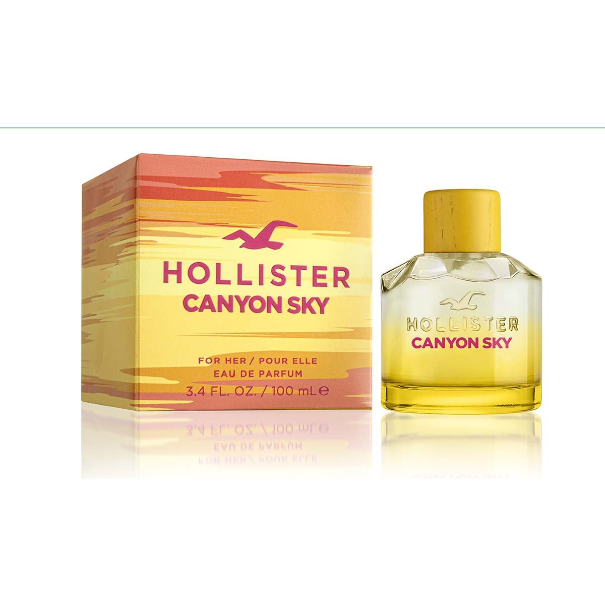 Hollister niñas discount