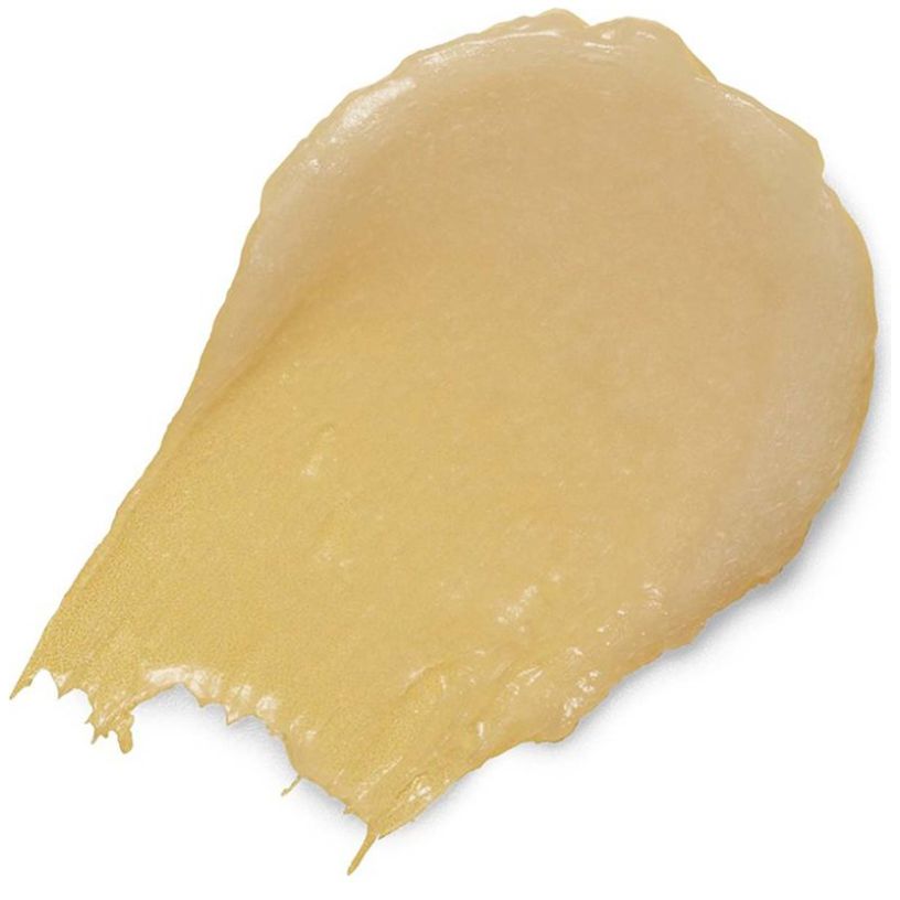  Overnight Lip Treatment Loose Burts Bees