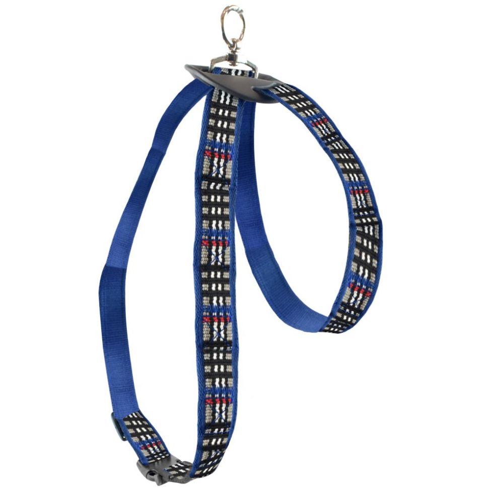 Arnés para Perro Talla Mediana Azul Fancy Pets