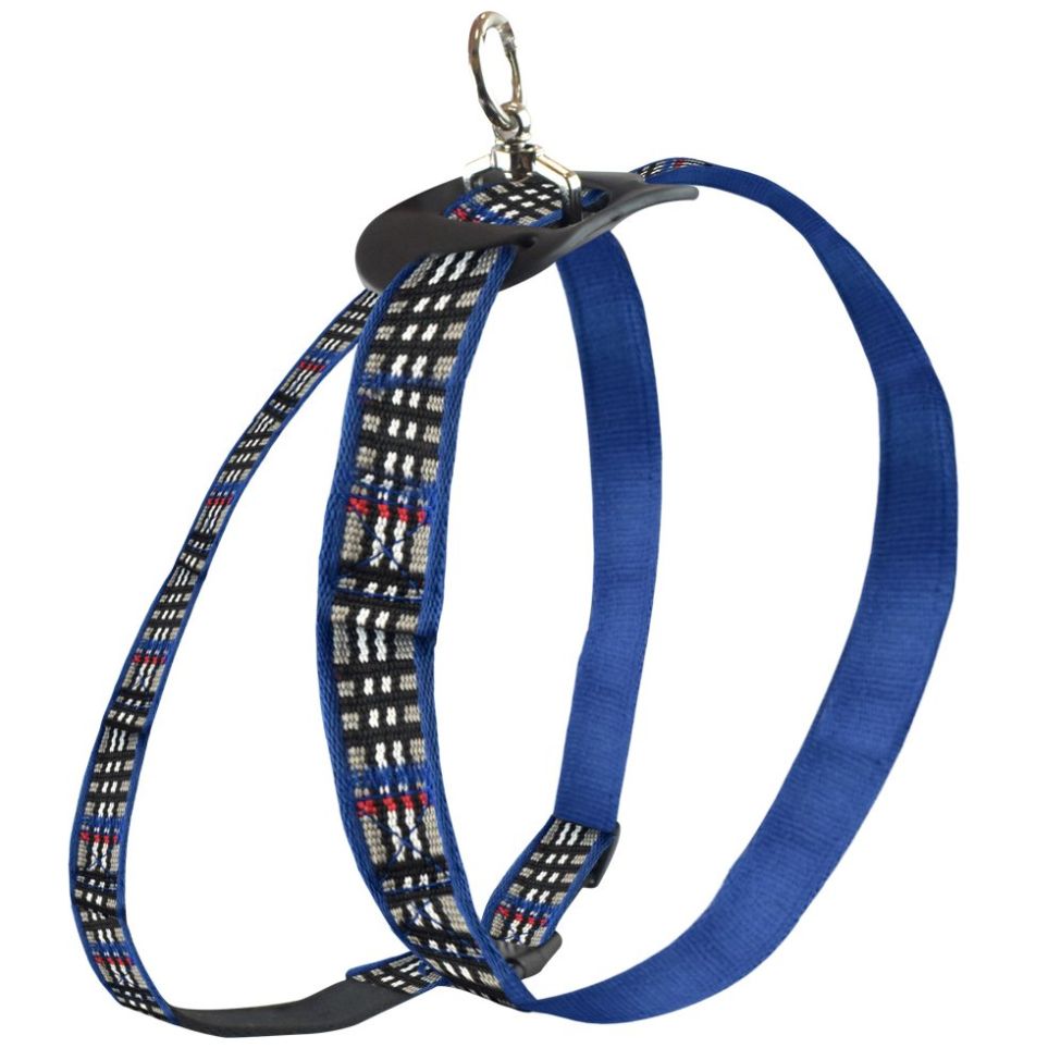 Arnés para Perro Talla Mediana Azul Fancy Pets