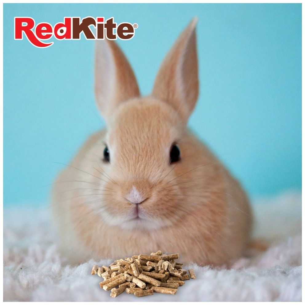 Alimento para Conejo 1.2Kg Redkite