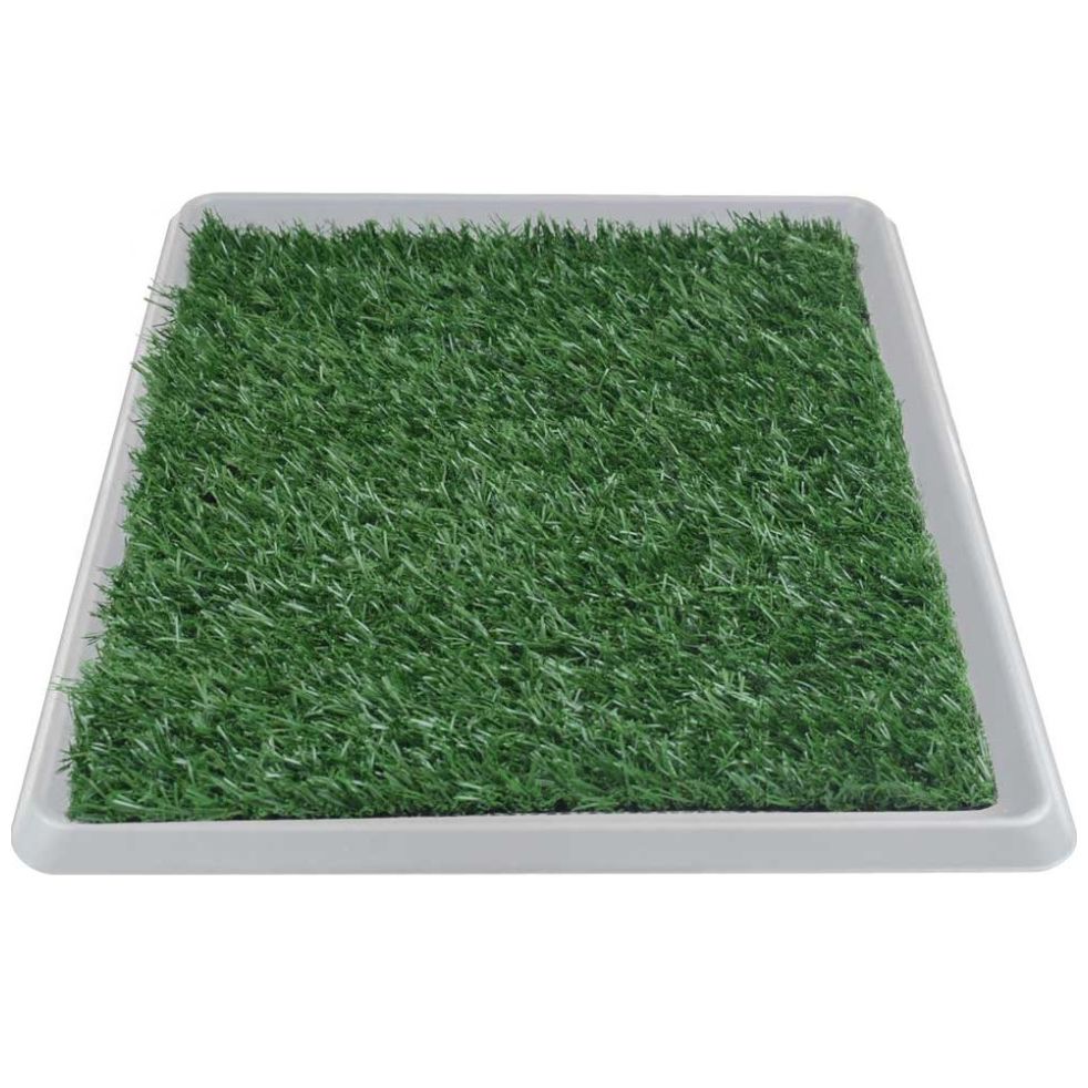 Pasto Sintético Doggie Grass Xch 50X40Cm Fancy Pets