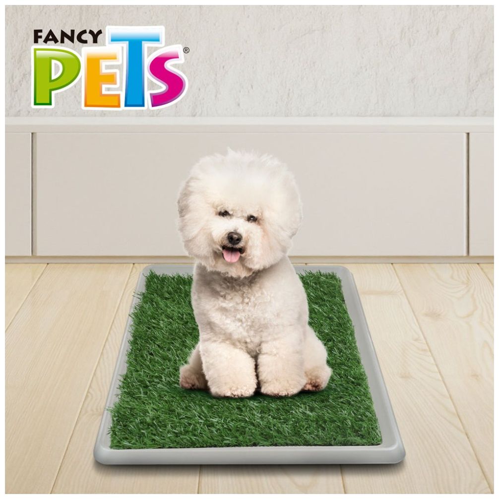 Pasto Sintético Doggie Grass Xch 50X40Cm Fancy Pets