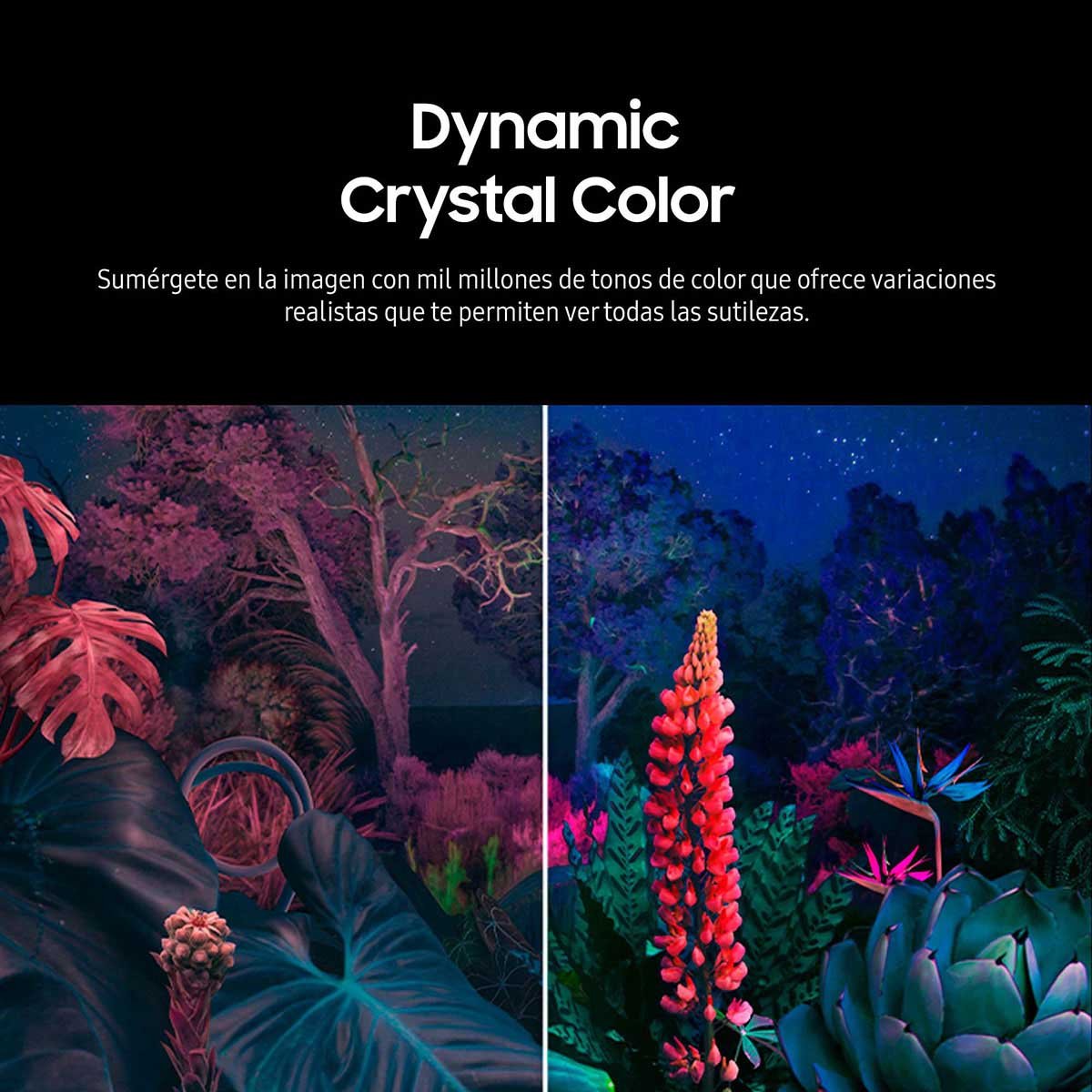 Pantalla 43" Samsung 4K Un43Cu8000Fxzx