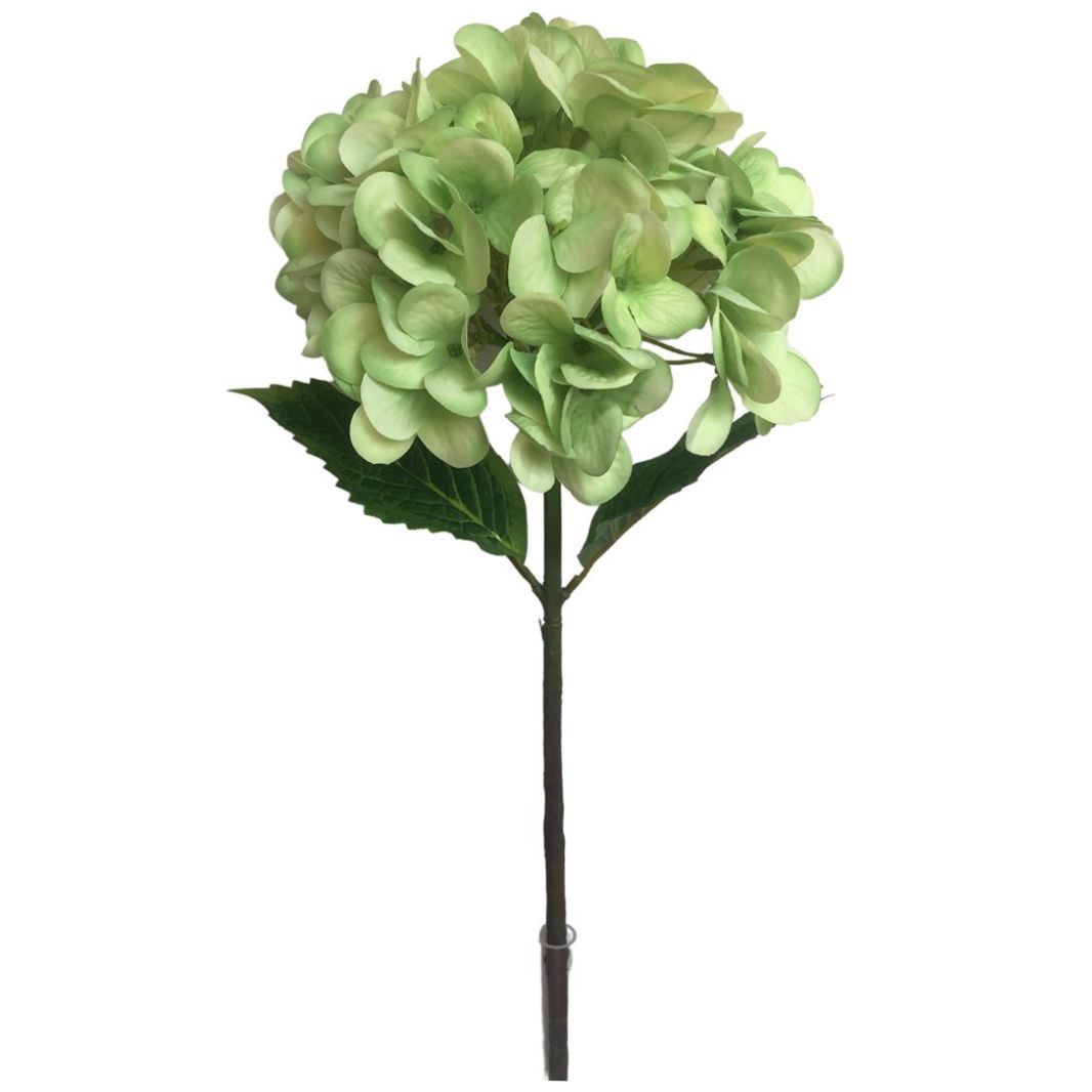 Hortensia 18.5Cm Verde Lottus