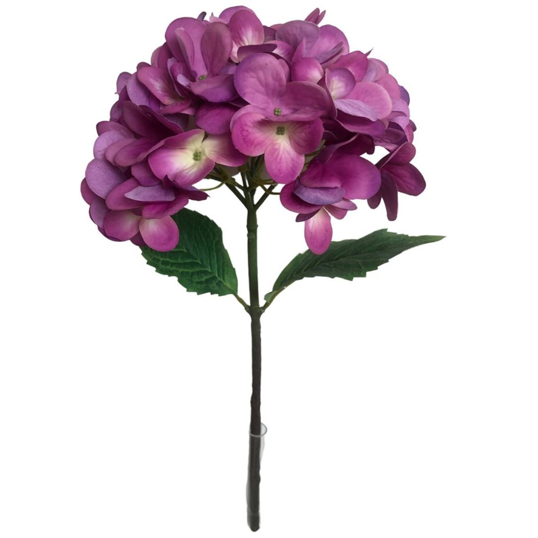 Hortensia 18.5Cm Morado Lottus