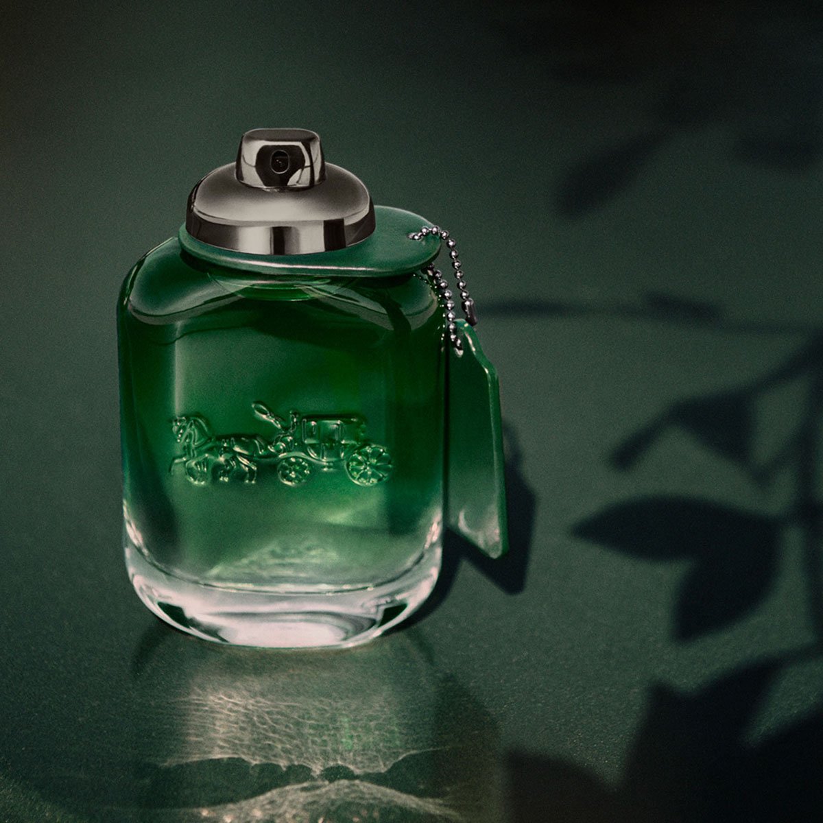 Fragancia para Hombre Coach Man Green Edt 100 Ml